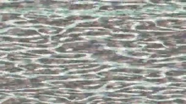 Yaratıcı video düzenleme film arkaplan tasarımı için minimalist organik hareket grafikleri