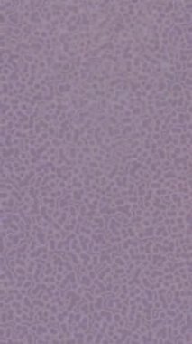 Lüks hareket tasarımı üst düzey video projeleri ve dijital sanat için zarif, pürüzsüz bir dokusu var.