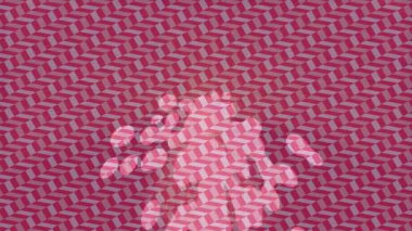 Benzersiz dijital hareket grafiklerine sahip yaratıcı sinematik projeler için yumuşak animasyon yüzeyi