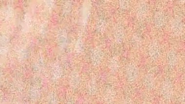 Yaratıcı video düzenleme film arkaplan tasarımı için minimalist organik hareket grafikleri