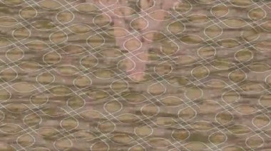 Benzersiz dijital hareket grafiklerine sahip yaratıcı sinematik projeler için yumuşak animasyon yüzeyi