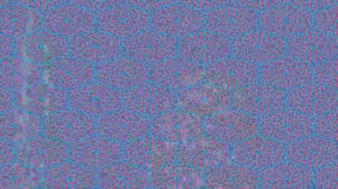 Dijital doku yüzey tasarım biçimi ile modern video animasyonu için gelişmiş hareket grafikleri