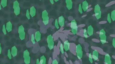 Benzersiz dijital hareket grafiklerine sahip yaratıcı sinematik projeler için yumuşak animasyon yüzeyi