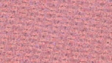 Lüks hareket projeleri için soyut tasarım stili animasyonu olan üst düzey dijital doku