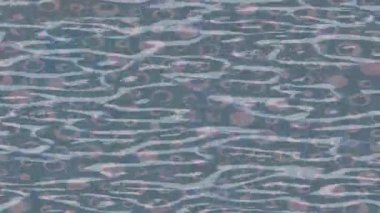 Yaratıcı video düzenleme film tasarımı için benzersiz hareket grafikleri biçimi giriş hareketi video pro