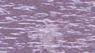 Benzersiz dijital hareket grafiklerine sahip yaratıcı sinematik projeler için yumuşak animasyon yüzeyi