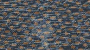 Yaratıcı video düzenleme film arkaplan tasarımı için minimalist organik hareket grafikleri