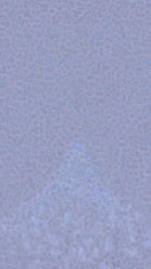 Yaratıcı video düzenleme film arkaplan tasarımı için minimalist organik hareket grafikleri