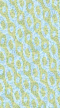 Estetik doku arkaplan tasarımı renkli hareket grafikleri ile moda film giriş profosyoneli