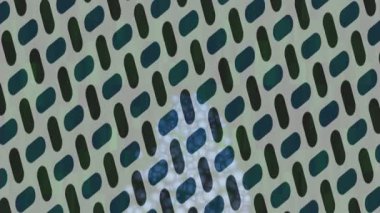 Lüks hareket tasarımı üst düzey video projeleri ve dijital sanat için zarif, pürüzsüz bir dokusu var.