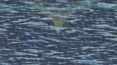 Benzersiz dijital animasyon tarzı grafikleri olan yaratıcı ortam tasarımı için yenilikçi hareket dokusu