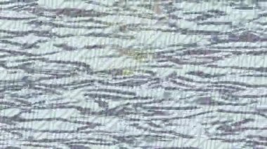 Lüks hareket tasarımı üst düzey video projeleri ve dijital sanat için zarif, pürüzsüz bir dokusu var.