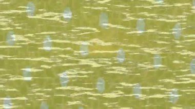 Yaratıcı video düzenleme film arkaplan tasarımı için minimalist organik hareket grafikleri