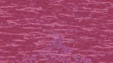 Benzersiz video giriş tasarımı projeleri için detaylı yüzey kalıbı film animasyon stili grafik girişi