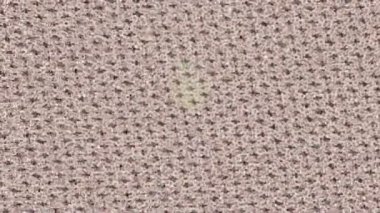 Yaratıcı video düzenleme film arkaplan tasarımı için minimalist organik hareket grafikleri