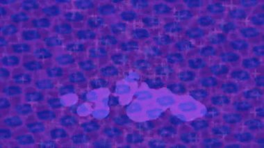 Lüks hareket tasarımı üst düzey video projeleri ve dijital sanat için zarif, pürüzsüz bir dokusu var.