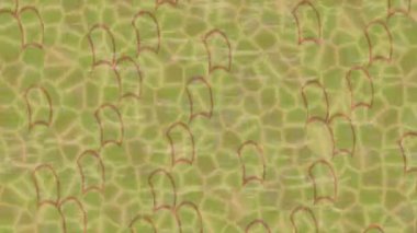 Modern medya üretimi için fütüristik dijital soyut doku sinematik tarz hareketli grafik ögesi