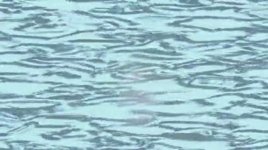 Benzersiz dijital animasyon tarzı grafikleri olan yaratıcı ortam tasarımı için yenilikçi hareket dokusu