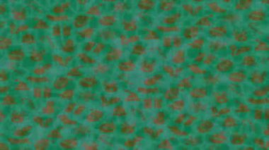 Yaratıcı video düzenleme film tasarımı için benzersiz hareket grafikleri biçimi giriş hareketi video pro