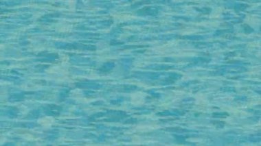 Yaratıcı video düzenleme film arkaplan tasarımı için minimalist organik hareket grafikleri