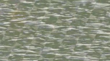 Lüks hareket tasarımı üst düzey video projeleri ve dijital sanat için zarif, pürüzsüz bir dokusu var.