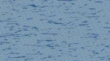 Benzersiz dijital hareket grafiklerine sahip yaratıcı sinematik projeler için yumuşak animasyon yüzeyi