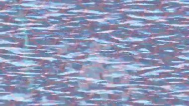 Benzersiz dijital hareket grafiklerine sahip yaratıcı sinematik projeler için yumuşak animasyon yüzeyi