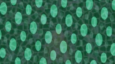 Profesyonel video projeleri sanat tarzı için organik hareketli arkaplan tasarımı