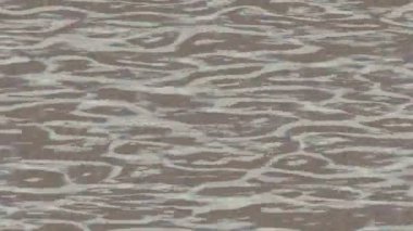 Profesyonel video projeleri sanat tarzı için organik hareketli arkaplan tasarımı