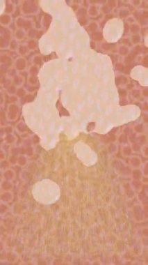 Benzersiz dijital hareket grafiklerine sahip yaratıcı sinematik projeler için yumuşak animasyon yüzeyi