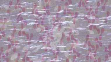 Benzersiz hareket grafikleri tasarım sanatına sahip yaratıcı film üretimi için özet bir arkaplan