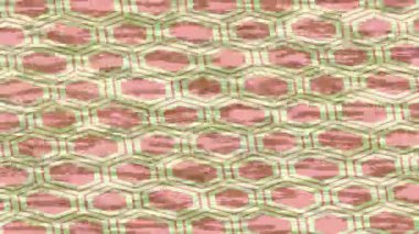 Yaratıcı video düzenleme film tasarımı için benzersiz hareket grafikleri biçimi giriş hareketi video pro