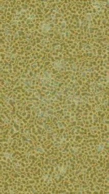 Benzersiz hareket grafikleri tasarım sanatına sahip yaratıcı film üretimi için özet bir arkaplan