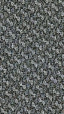 Estetik doku arkaplan tasarımı renkli hareket grafikleri ile moda film giriş profosyoneli