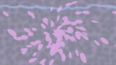 Yaratıcı video düzenleme film tasarımı için benzersiz hareket grafikleri biçimi giriş hareketi video pro