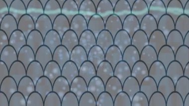 Benzersiz dijital hareket grafiklerine sahip yaratıcı sinematik projeler için yumuşak animasyon yüzeyi