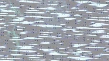 Modern medya üretimi için fütüristik dijital soyut doku sinematik tarz hareketli grafik ögesi