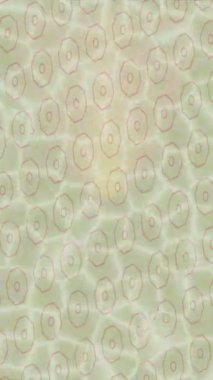 Lüks hareket tasarımı üst düzey video projeleri ve dijital sanat için zarif, pürüzsüz bir dokusu var.