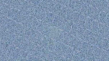 Estetik doku arkaplan tasarımı renkli hareket grafikleri ile moda film giriş profosyoneli