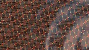 Benzersiz video giriş tasarımı projeleri için detaylı yüzey kalıbı film animasyon stili grafik girişi