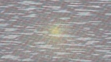 Yaratıcı video düzenleme film arkaplan tasarımı için minimalist organik hareket grafikleri