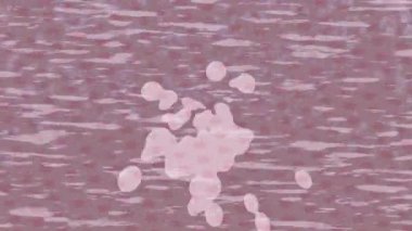 Yaratıcı video düzenleme film arkaplan tasarımı için minimalist organik hareket grafikleri