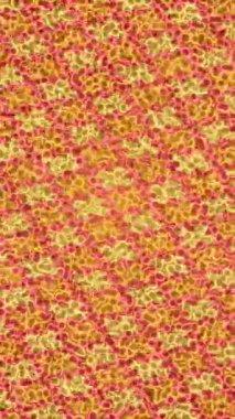 Profesyonel video projeleri sanat tarzı için organik hareketli arkaplan tasarımı