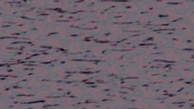 Benzersiz dijital animasyon tarzı grafikleri olan yaratıcı ortam tasarımı için yenilikçi hareket dokusu