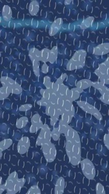 Benzersiz dijital hareket grafiklerine sahip yaratıcı sinematik projeler için yumuşak animasyon yüzeyi