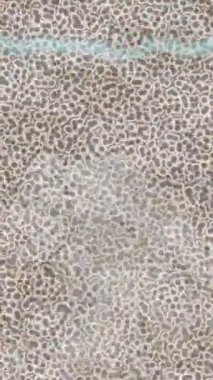 Benzersiz hareket grafikleri tasarım sanatına sahip yaratıcı film üretimi için özet bir arkaplan