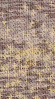 Soyut hareket desenli fütüristik video üretimi için dinamik dijital arkaplan