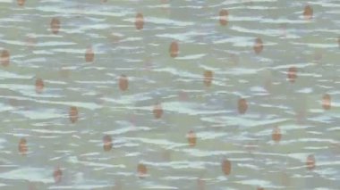 Soyut hareket desenli fütüristik video üretimi için dinamik dijital arkaplan