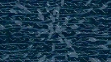 Benzersiz hareket dokusu tasarım sanatı ile profesyonel video düzenleme için modern soyut grafikler