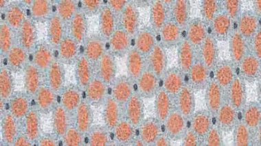 Yaratıcı video düzenleme film arkaplan tasarımı için minimalist organik hareket grafikleri